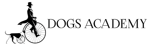 Dogs Academy Siracusa